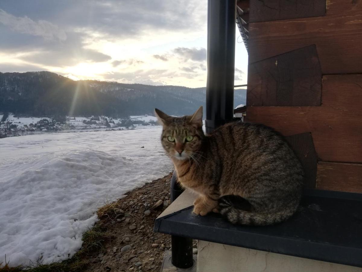Orlik - Pokoje Goscinne Uscie Gorlickie Exteriér fotografie