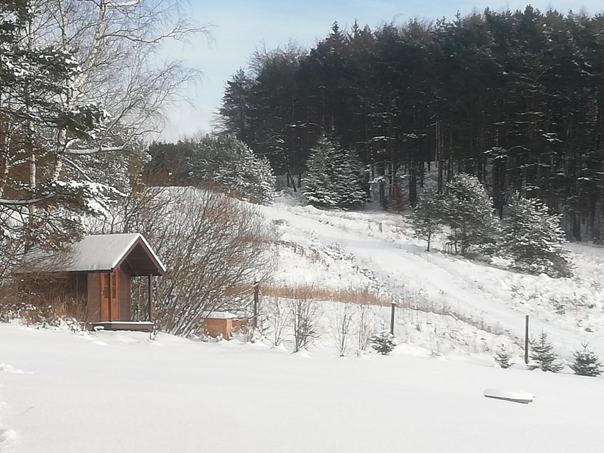Orlik - Pokoje Goscinne Uscie Gorlickie Exteriér fotografie