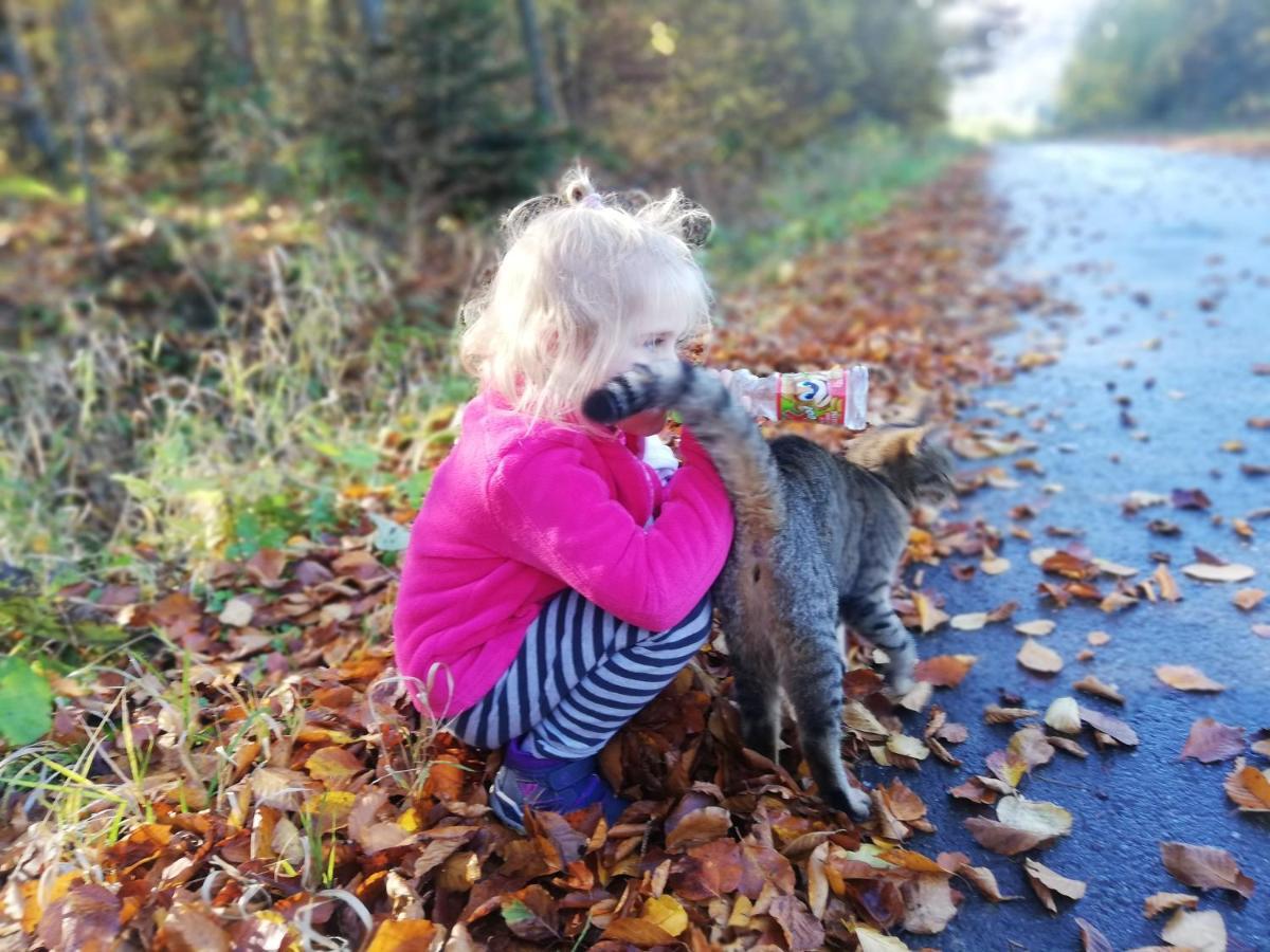 Orlik - Pokoje Goscinne Uscie Gorlickie Exteriér fotografie
