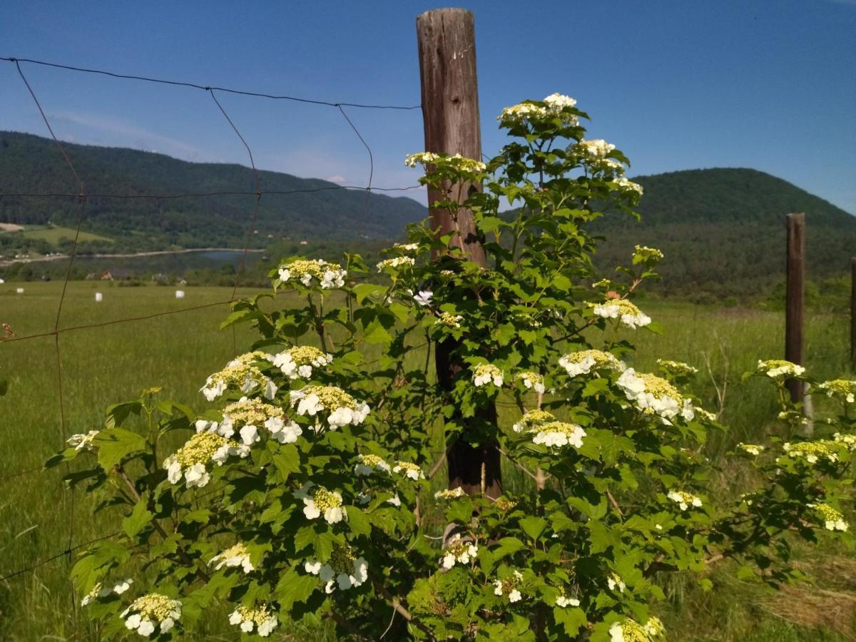 Orlik - Pokoje Goscinne Uscie Gorlickie Exteriér fotografie