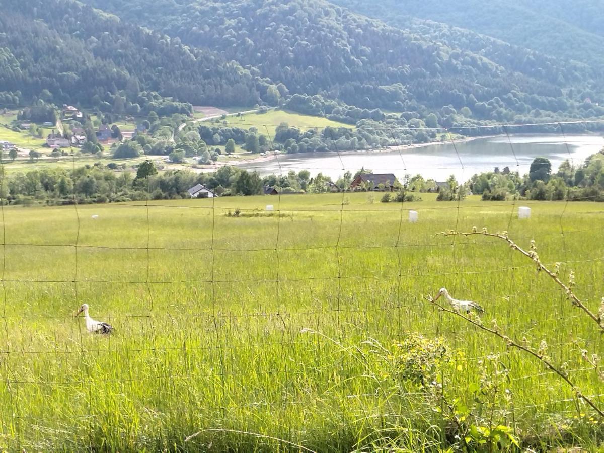 Orlik - Pokoje Goscinne Uscie Gorlickie Exteriér fotografie